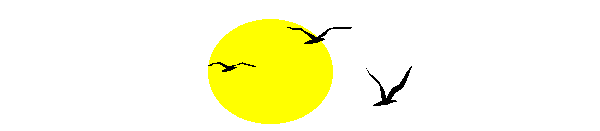 The Astrology of the Solar Return